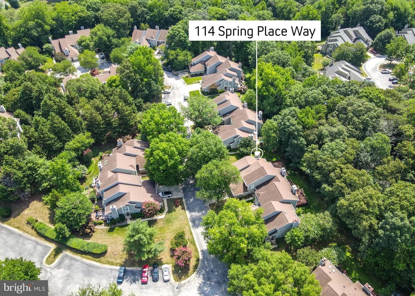 114 Spring Place Way photo 86
