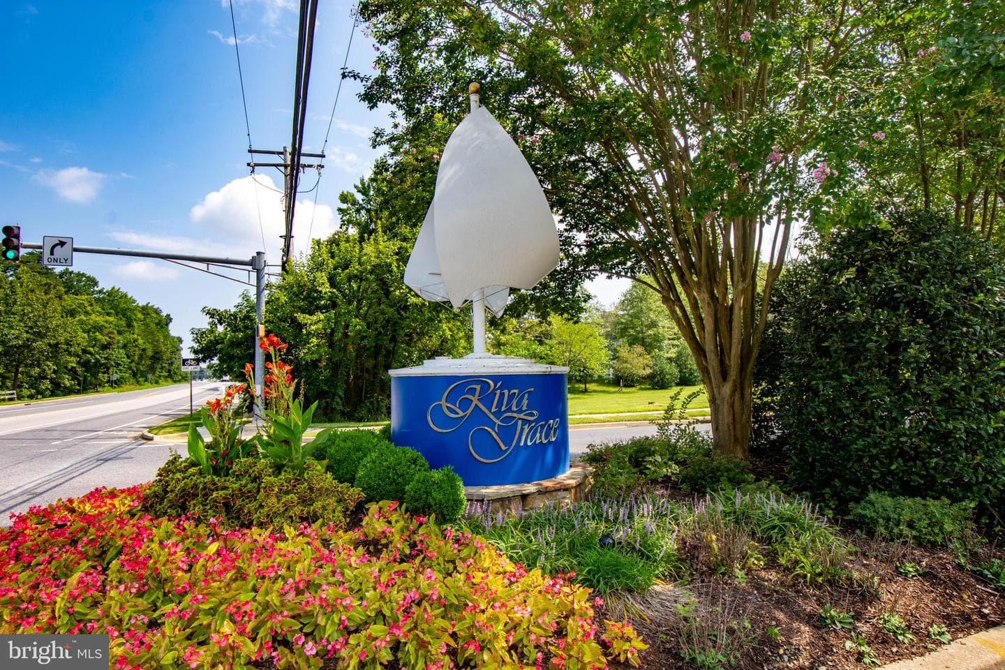 114 Spring Place Way photo 90