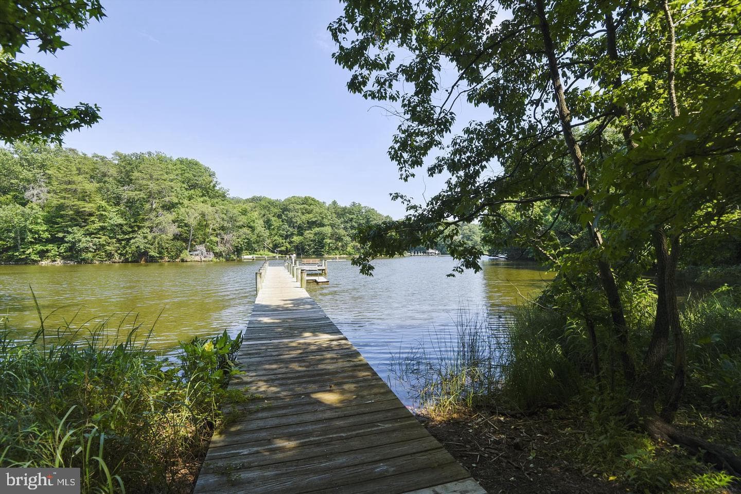 114 Spring Place Way photo 91