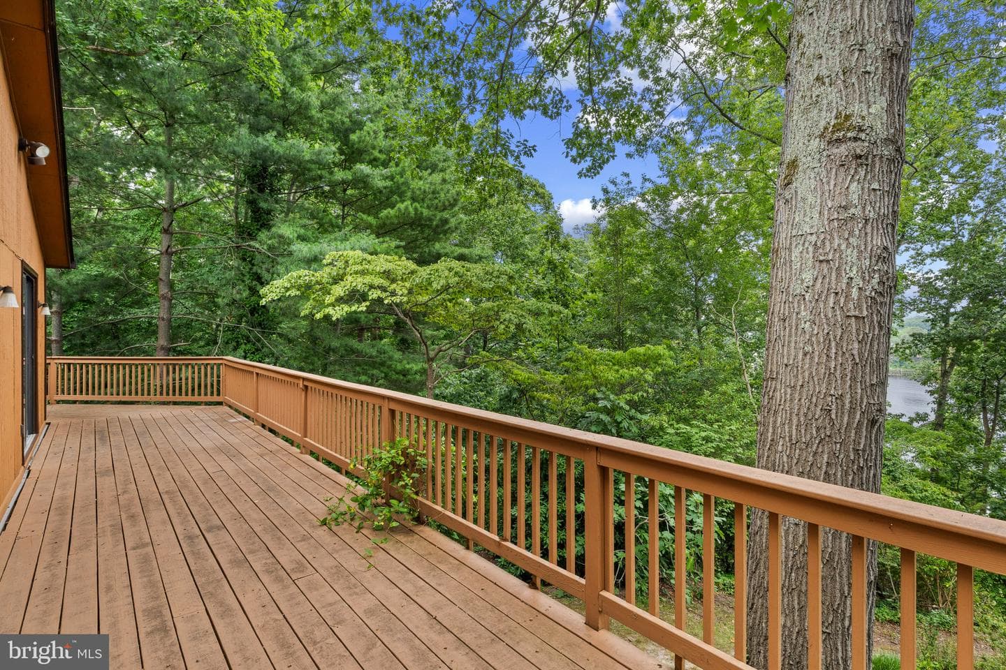783 Sonne Drive photo 41