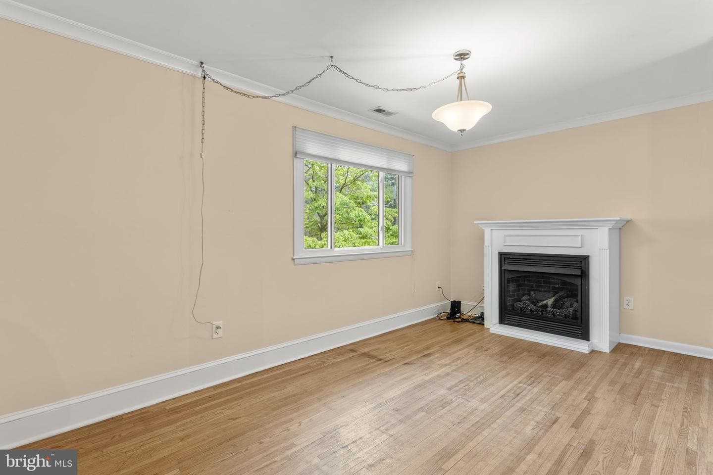 1099 Linden Tree Drive photo 11