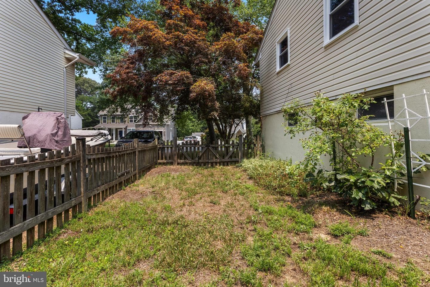 1099 Linden Tree Drive photo 30