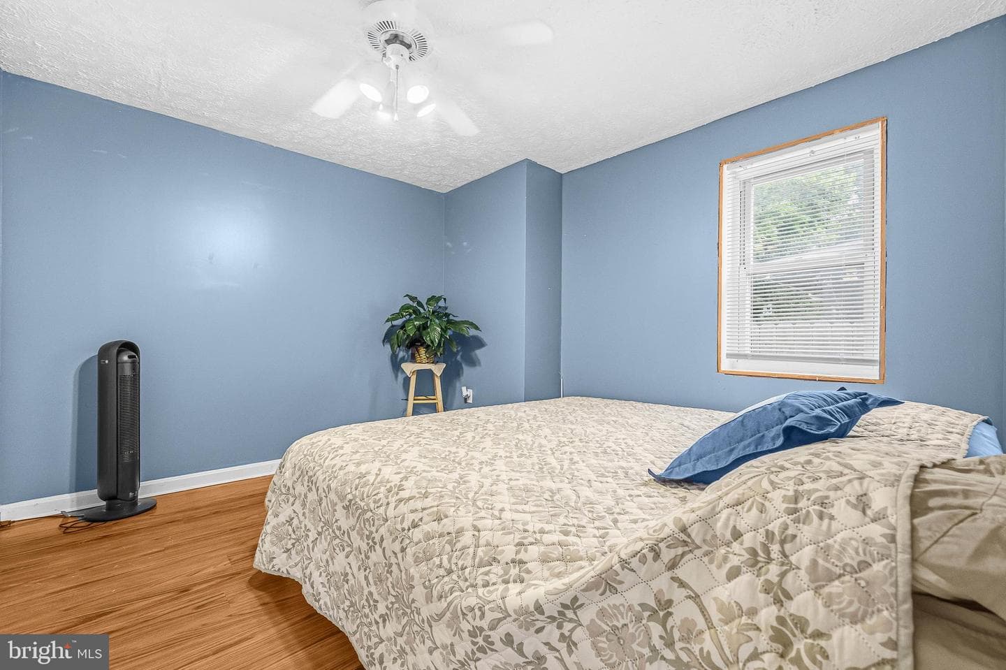 413 Orchard Avenue photo 18