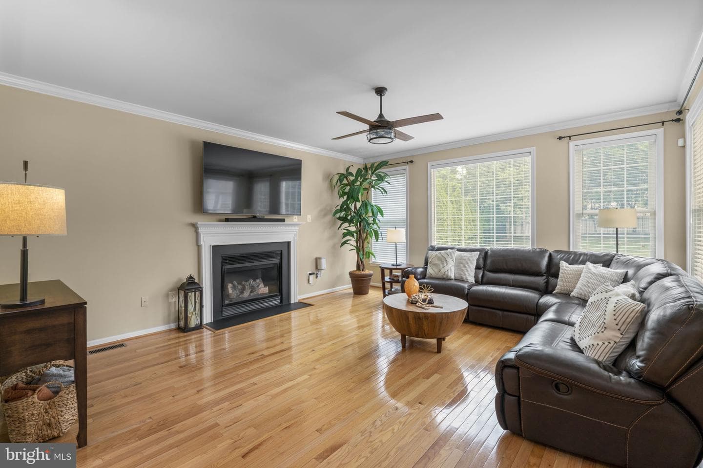439 University Drive photo 19