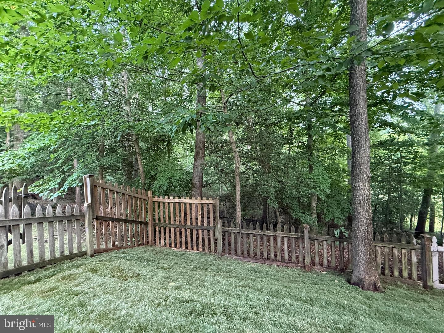 126 Gilbert Court photo 7