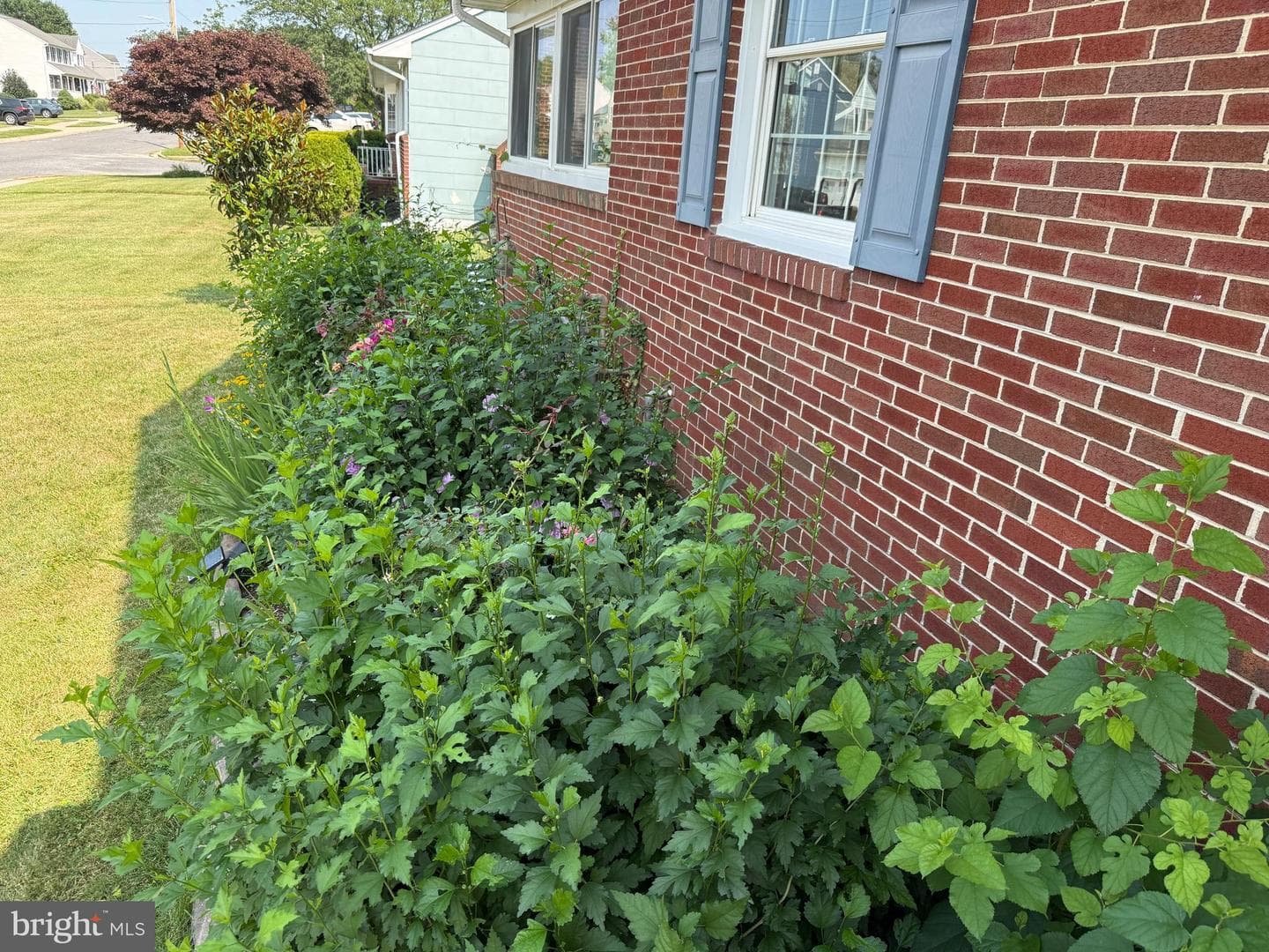 559 Fairmount photo 53