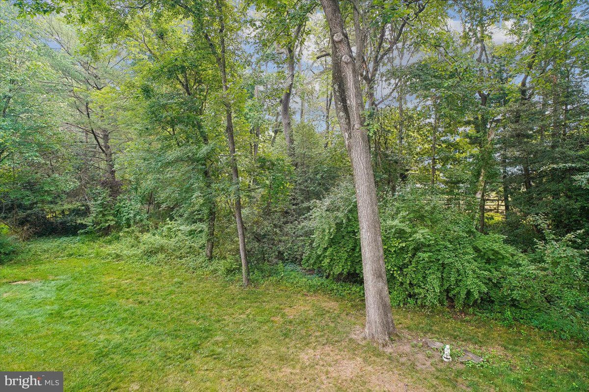 235 Ebb Point Lane photo 38
