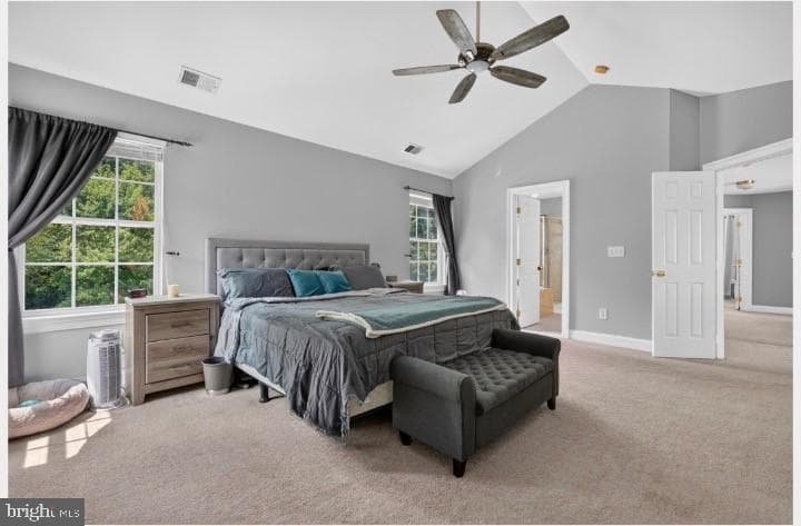 8014 Safe Harbor Court photo 26