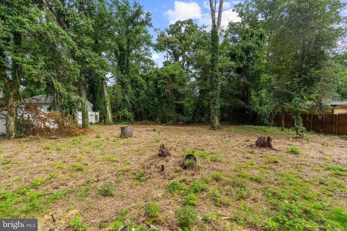 444 Ruth Road photo 36