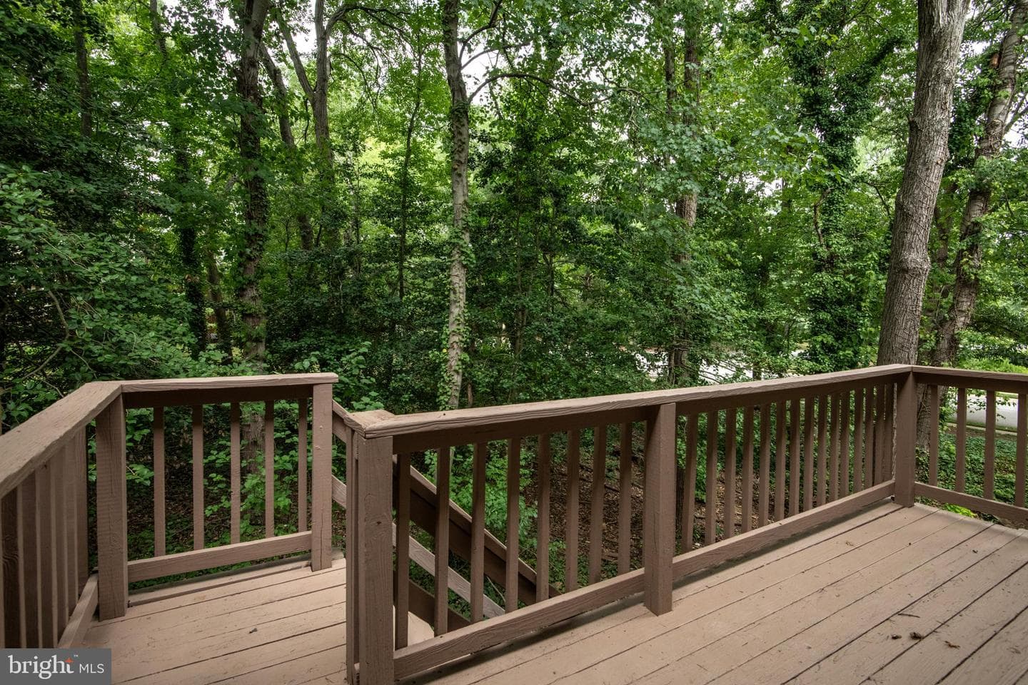 2802 Mockingbird Court photo 63