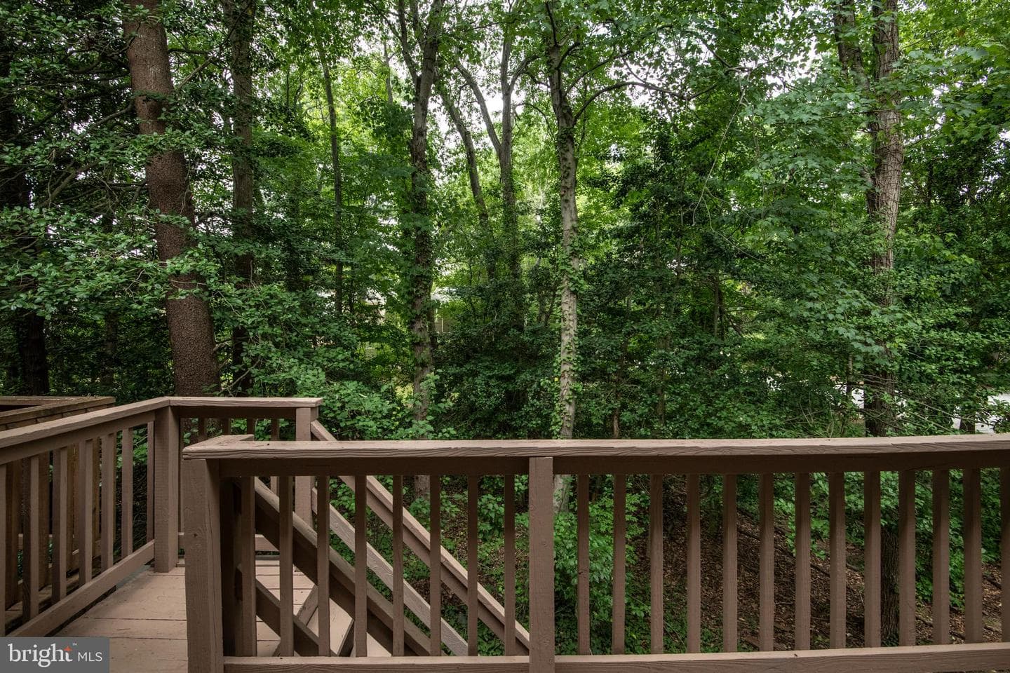 2802 Mockingbird Court photo 64