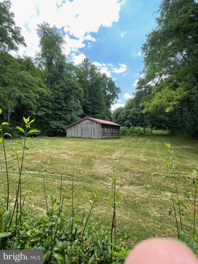 Precious Springs Road photo 11