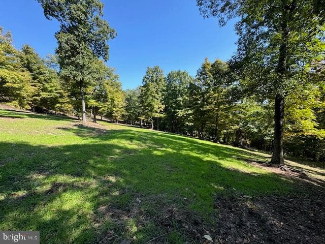 0 Weires Avenue photo 136