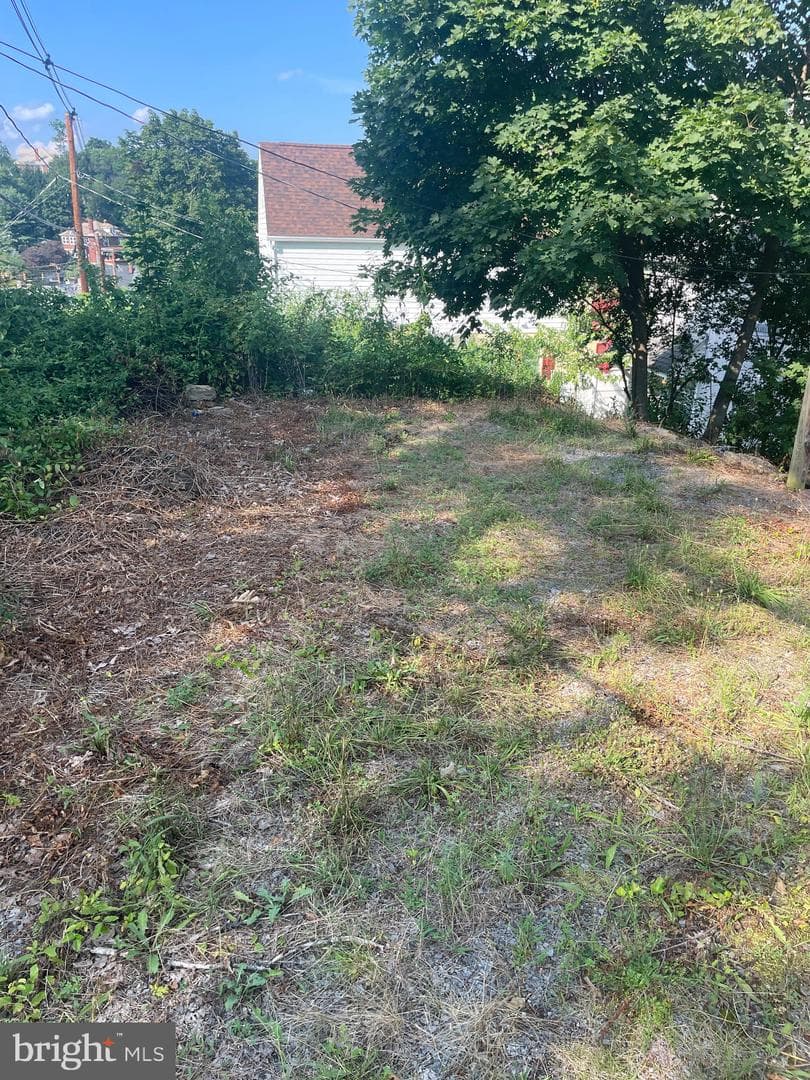 825 Gephart Drive photo 23