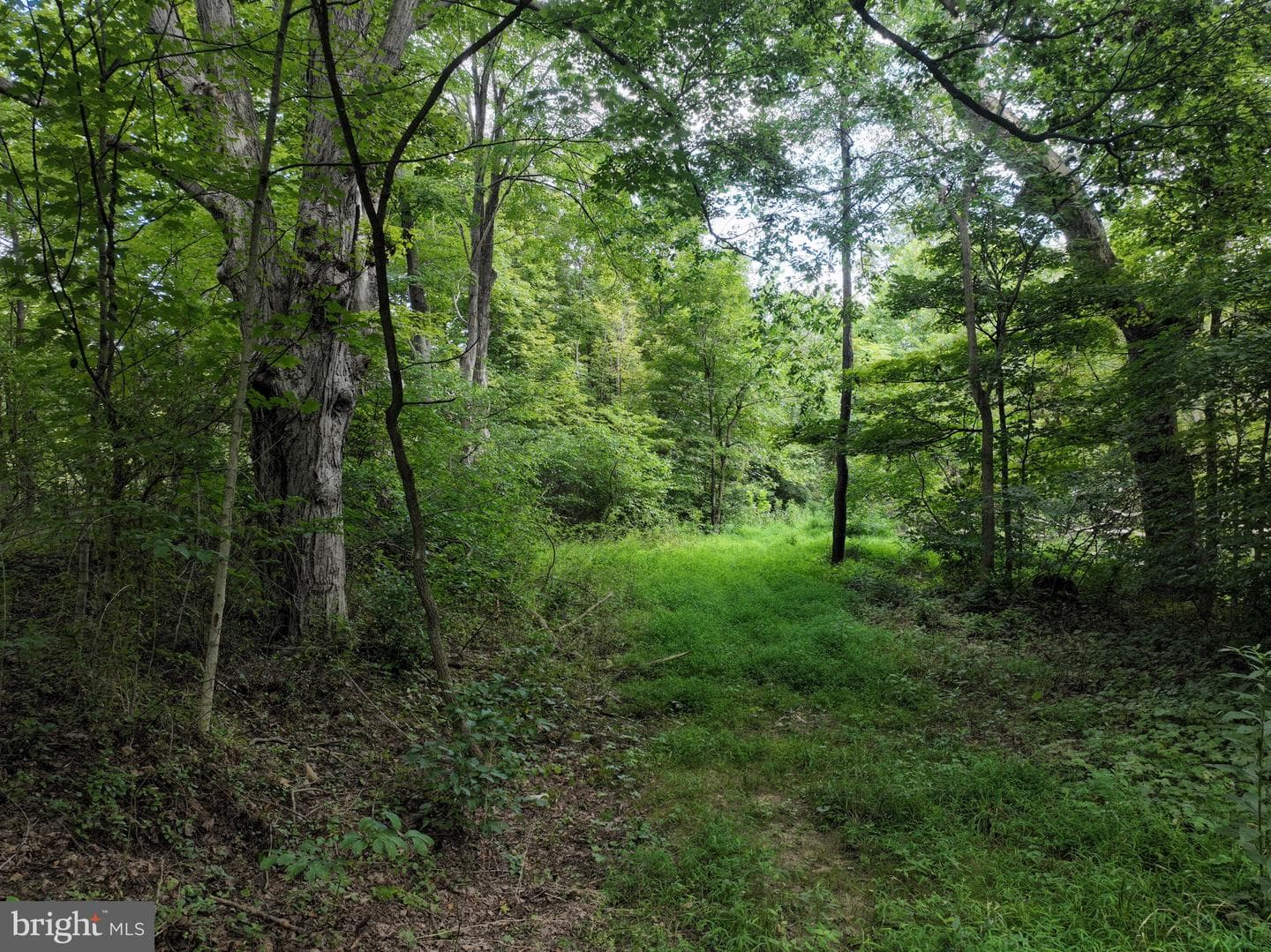 13900 Schellsburg Road photo 55
