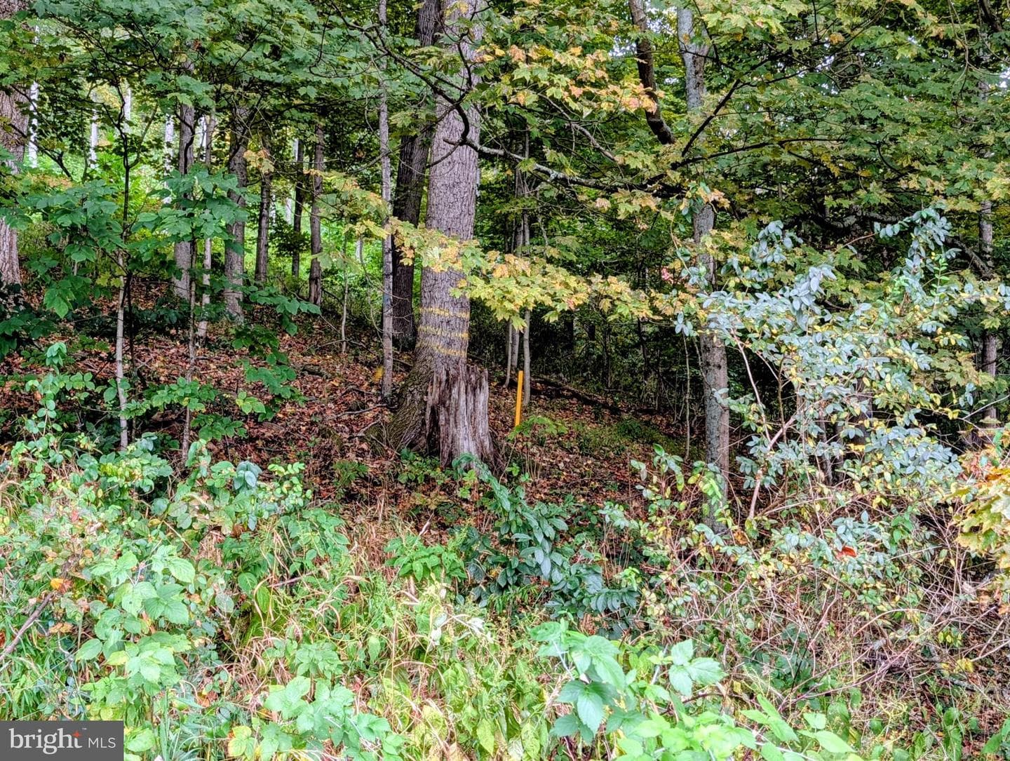 13512 Black Valley Road NE photo 48