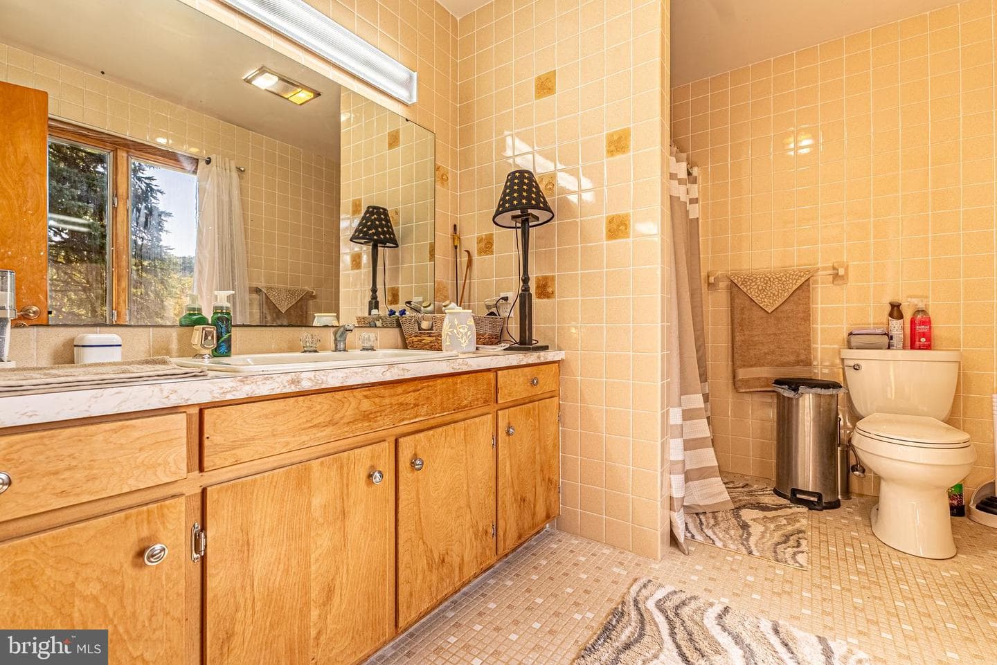 10201 Sivic Lane photo 23