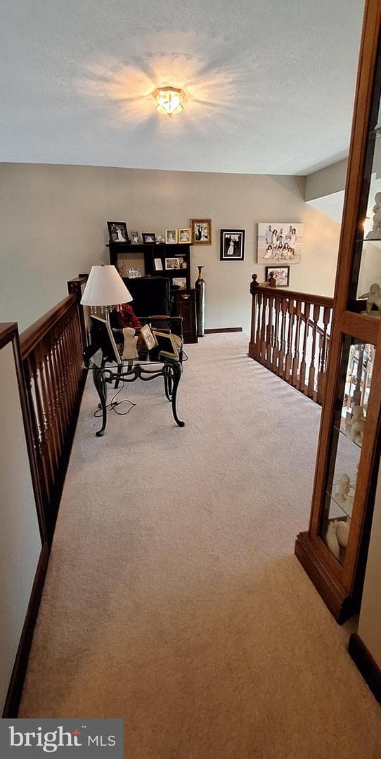331 Francis Court photo 59