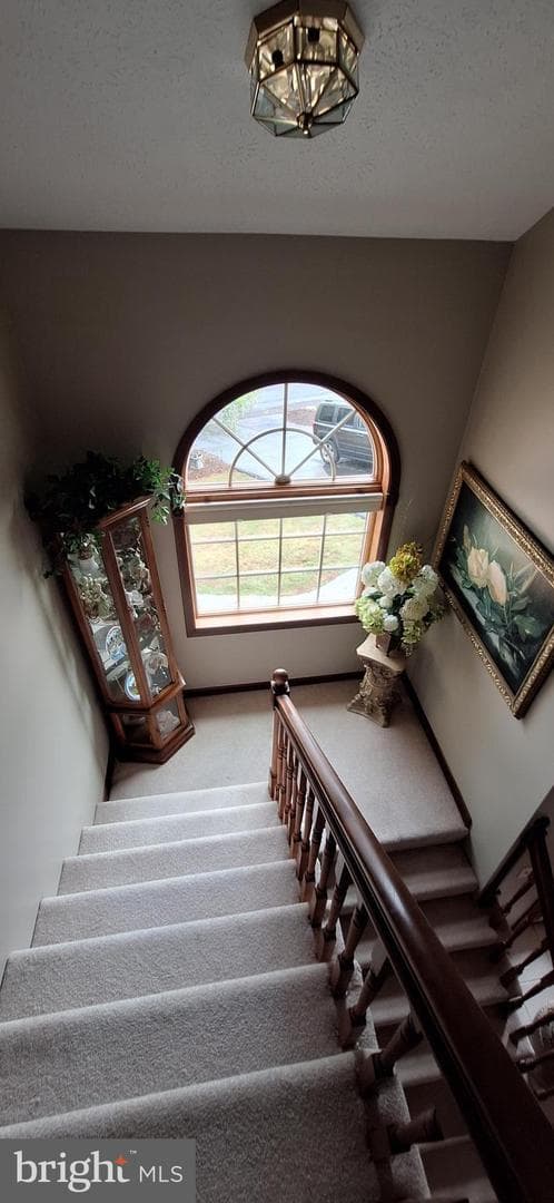 331 Francis Court photo 74