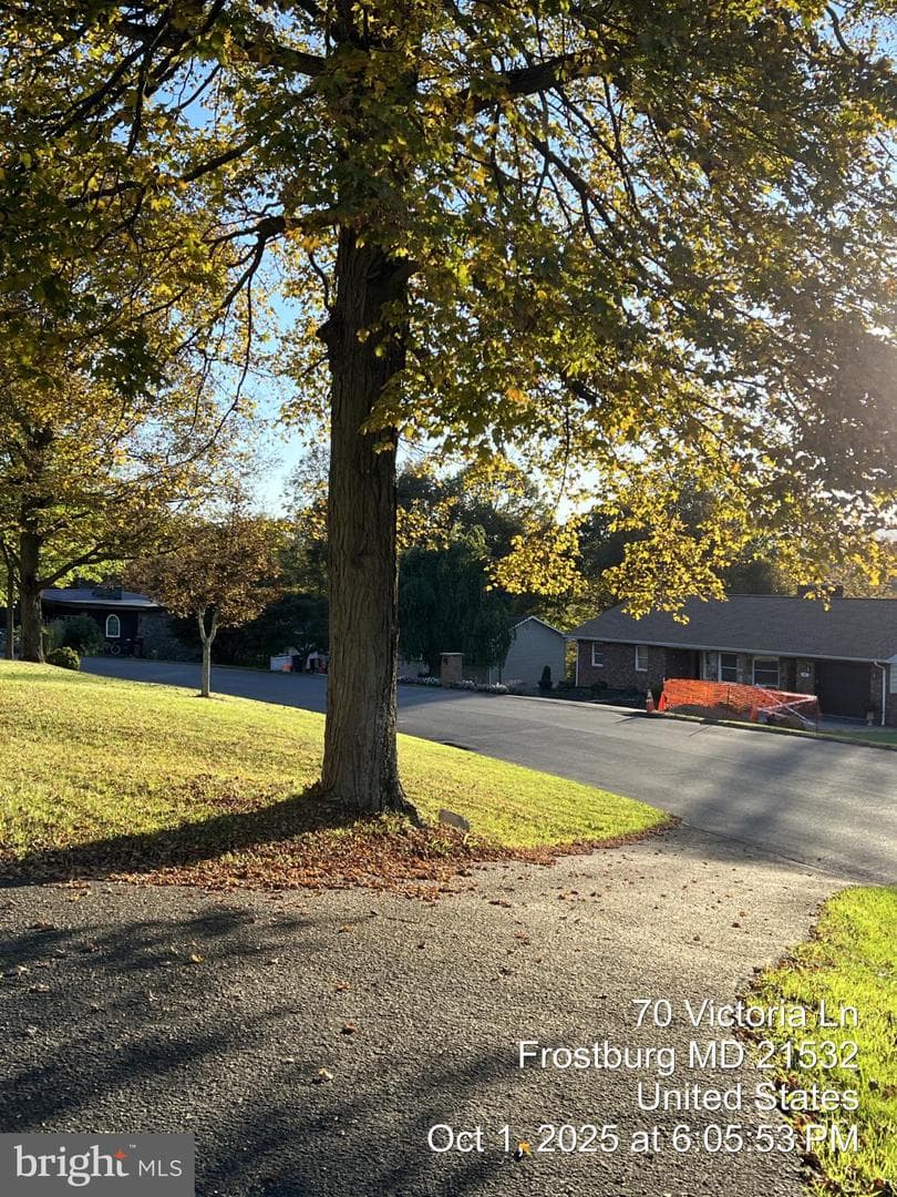 70 Victoria Lane photo 14