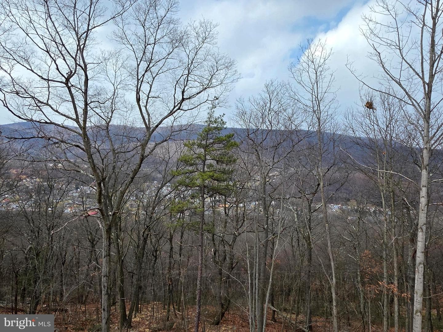 Skyview Drive W photo 42