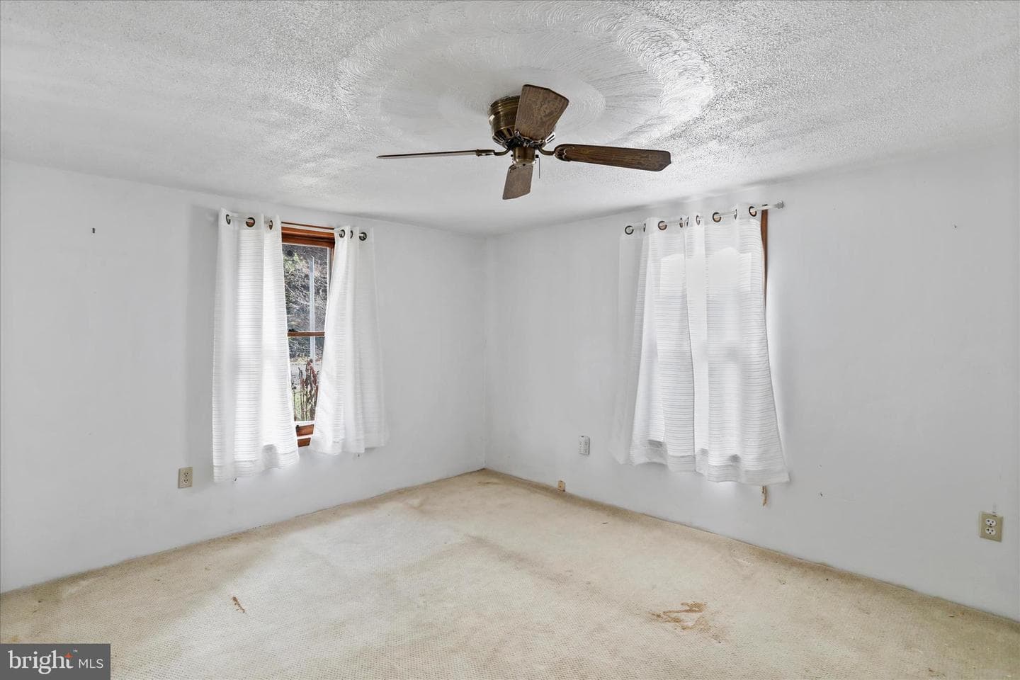 712 Golden Lane photo 5
