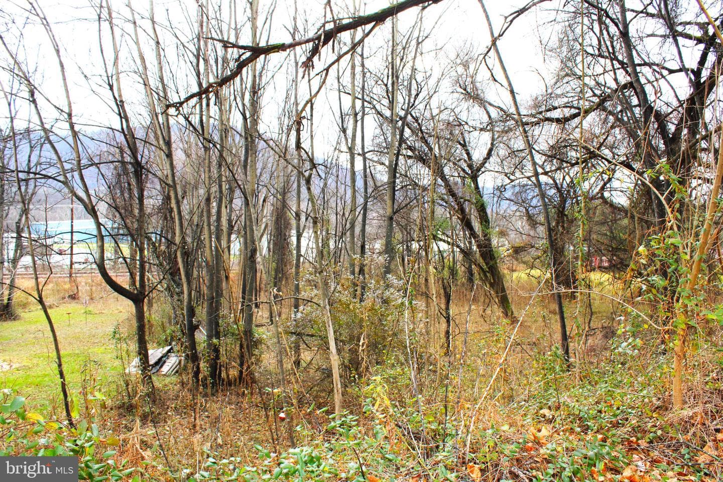 11902 Mcmullen Highway SW photo 5