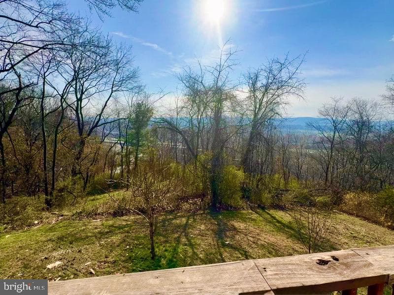 12604 Longs Hollow Road SE photo 40