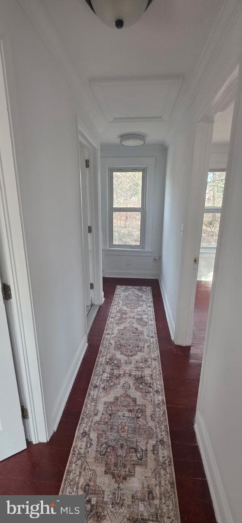 24 Blackiston Avenue photo 8