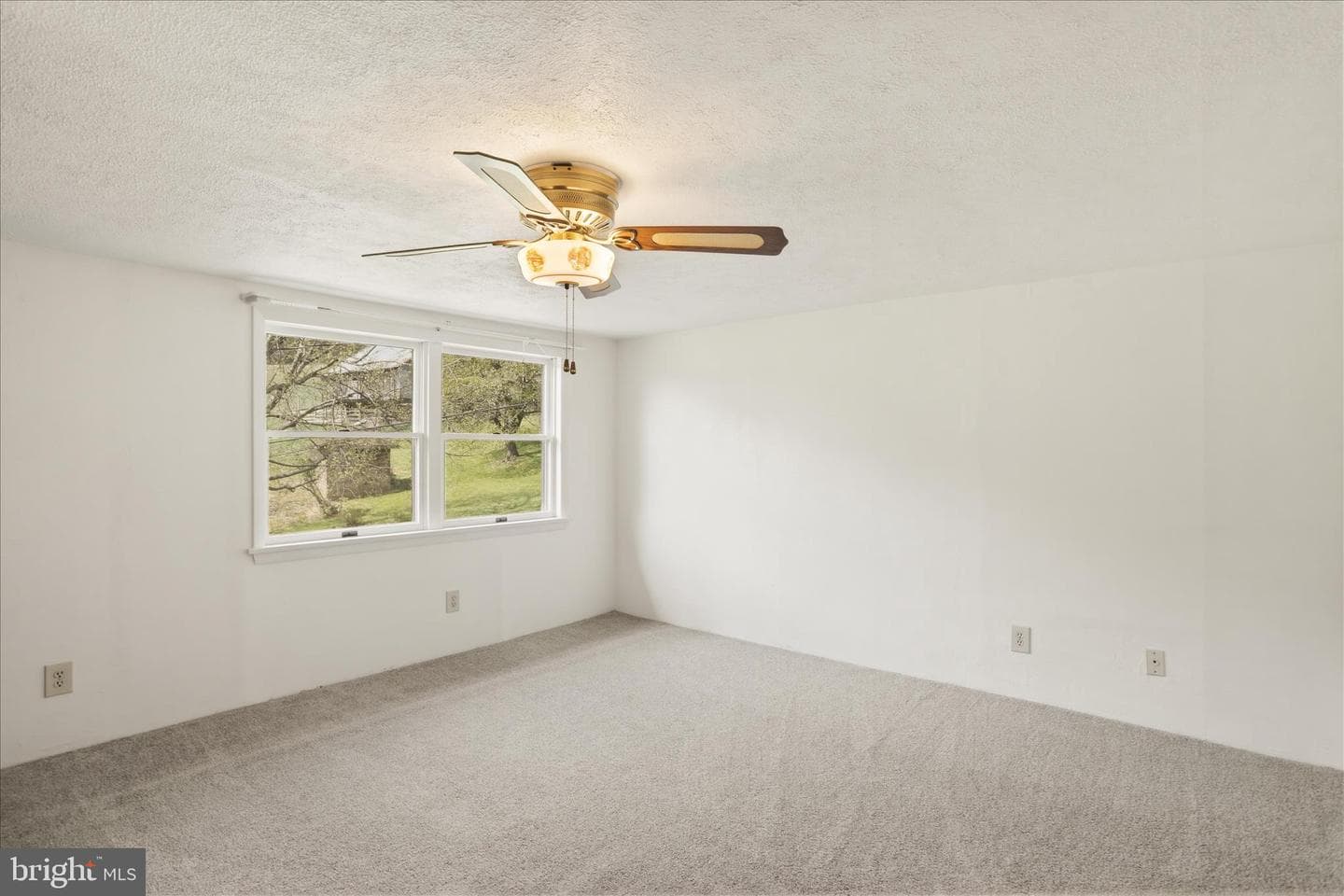 12623 Windy Ridge Drive photo 32