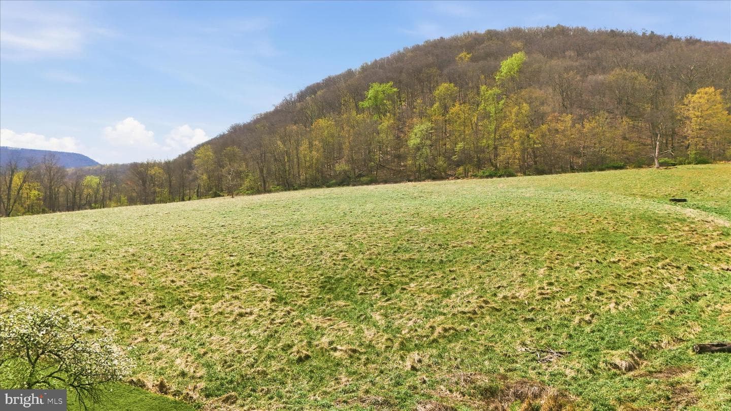 12623 Windy Ridge Drive photo 61
