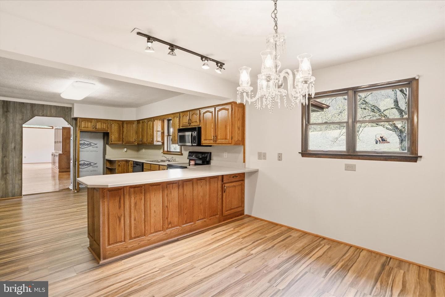 12623 Windy Ridge Drive photo 9