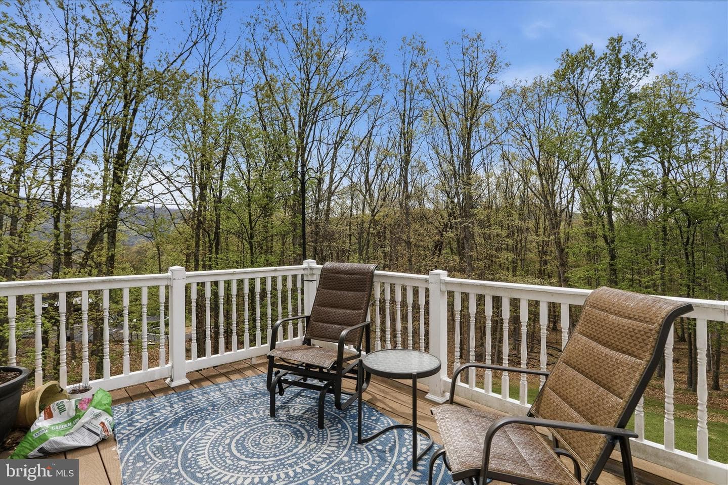 16808 Mountain Club Avenue photo 27