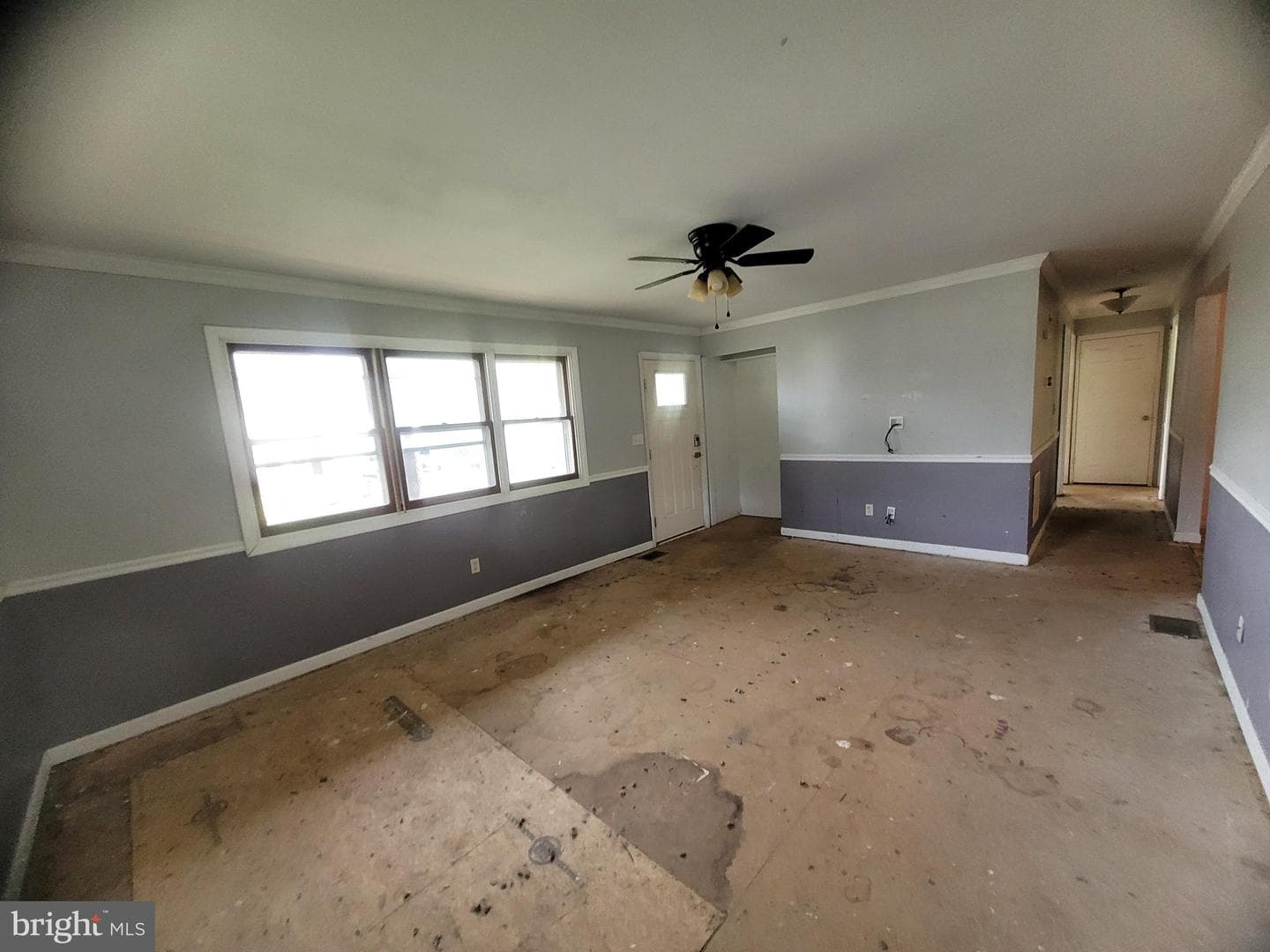 23 Oaklawn Avenue photo 13