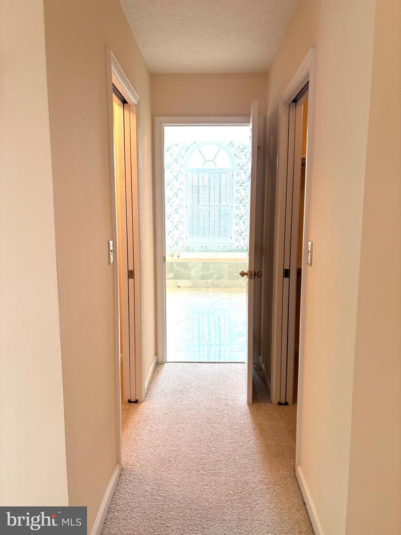 209 James Court photo 18
