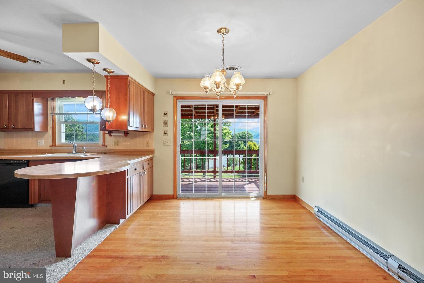 203 Marsh Avenue photo 13