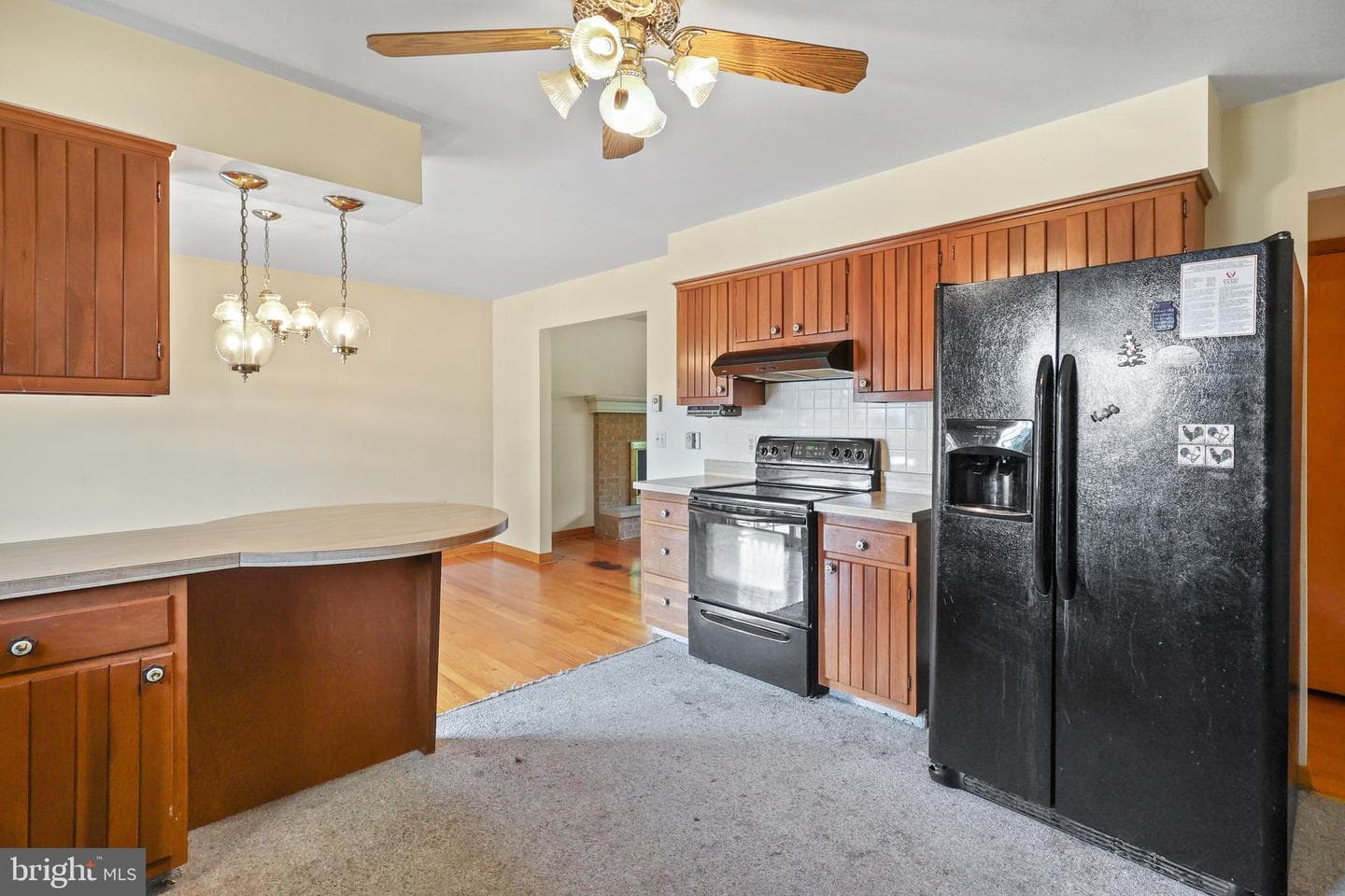 203 Marsh Avenue photo 17