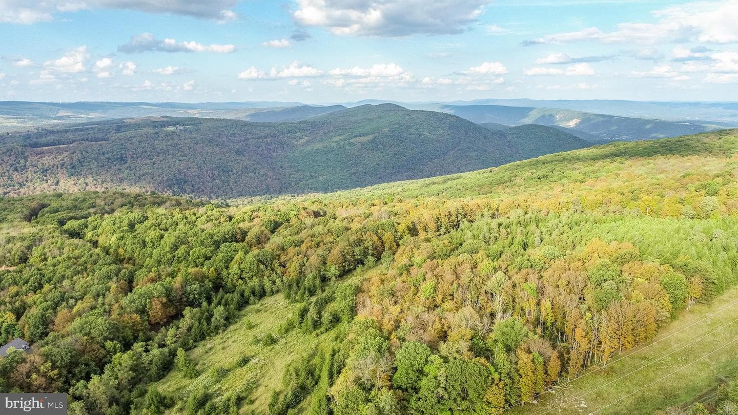 15800 Sprucewood Drive photo 10