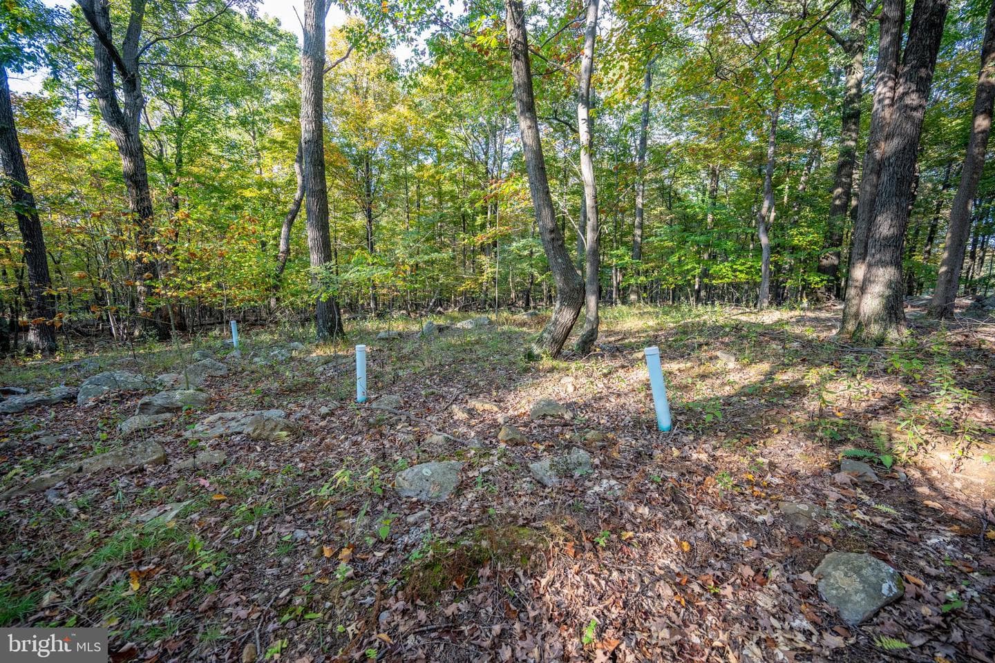 15800 Sprucewood Drive photo 70