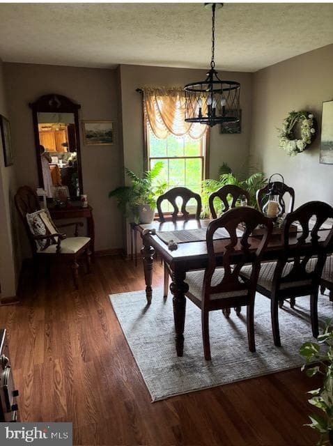 10115 Country View Lane photo 38