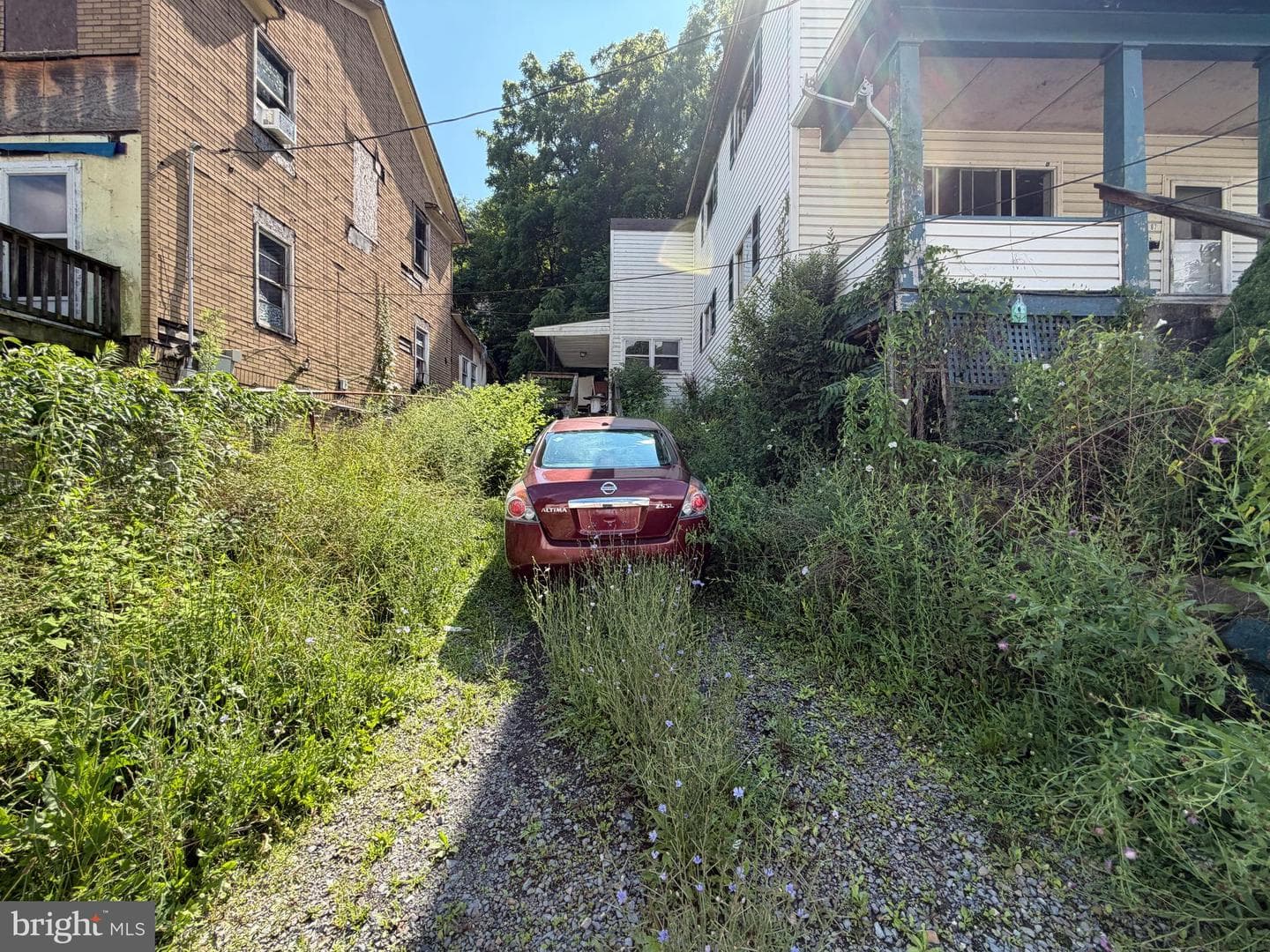 87 Douglas Avenue photo 5