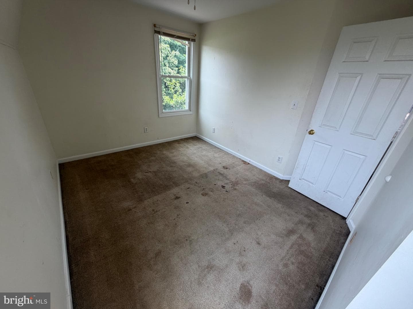 313 S Cedar Street photo 10