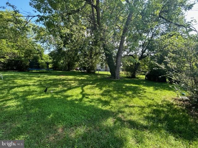 5520 Radecke Avenue photo 2