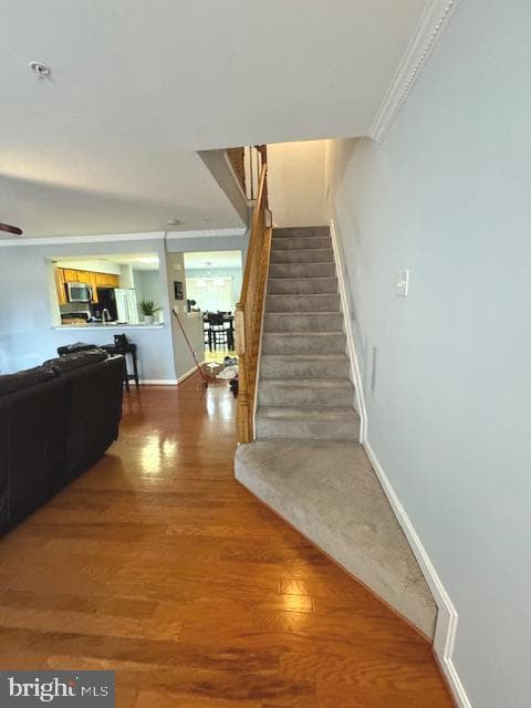 2716 Cylburn Meadows Court photo 14