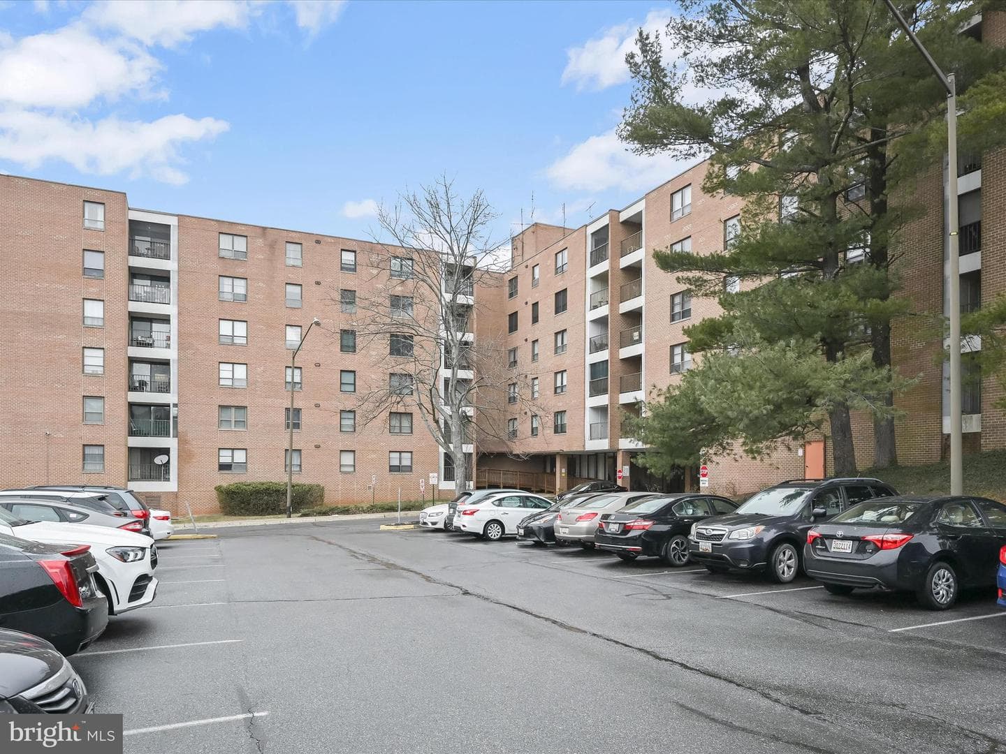 6317 Park Heights Avenue #501 photo 1