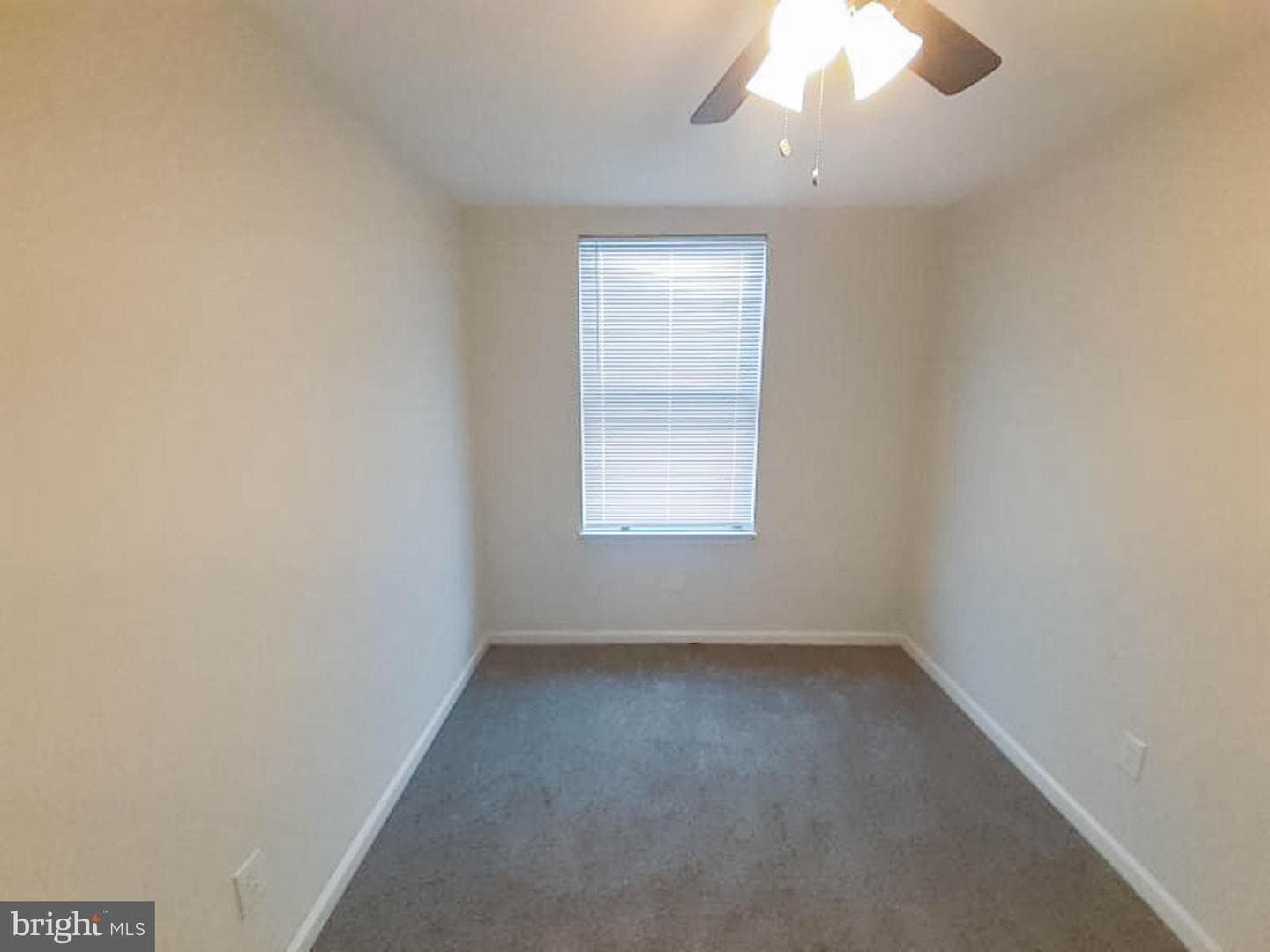 304 Lyndhurst Street photo 24