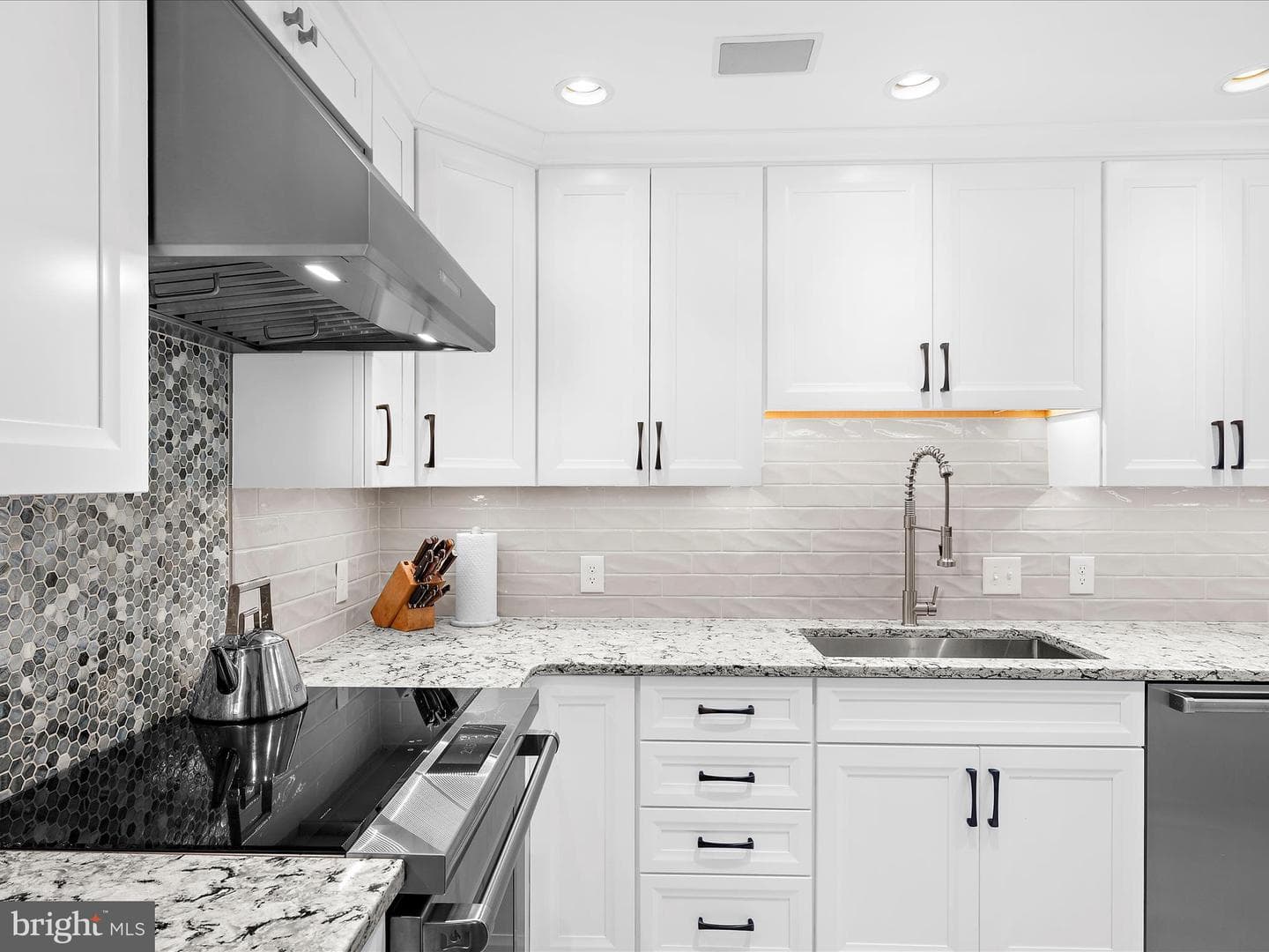 10 E Lee Street #2405 photo 8