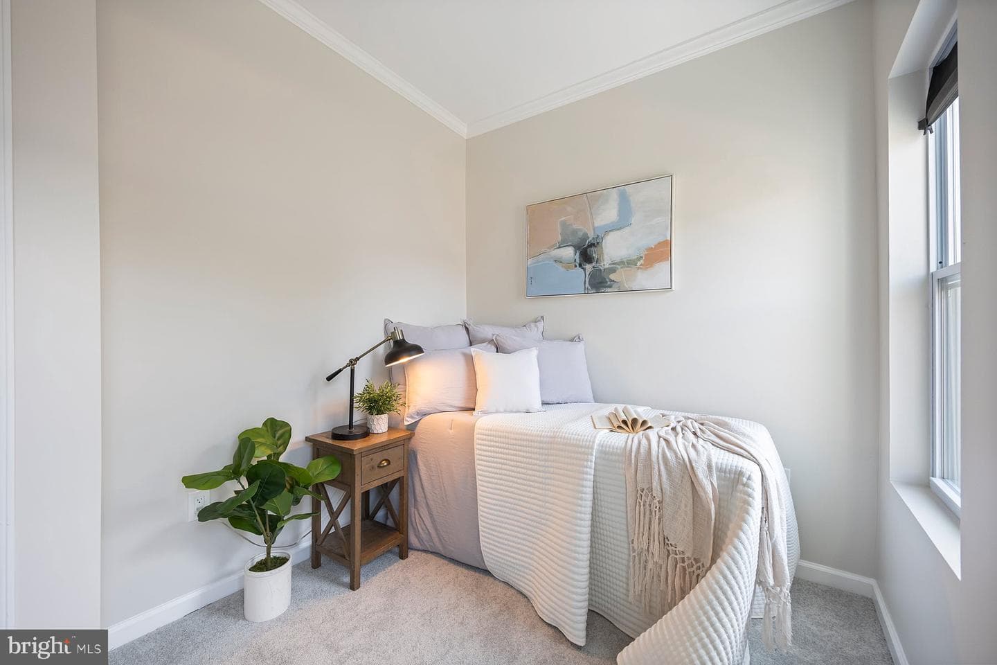 19 N Smallwood Street photo 19