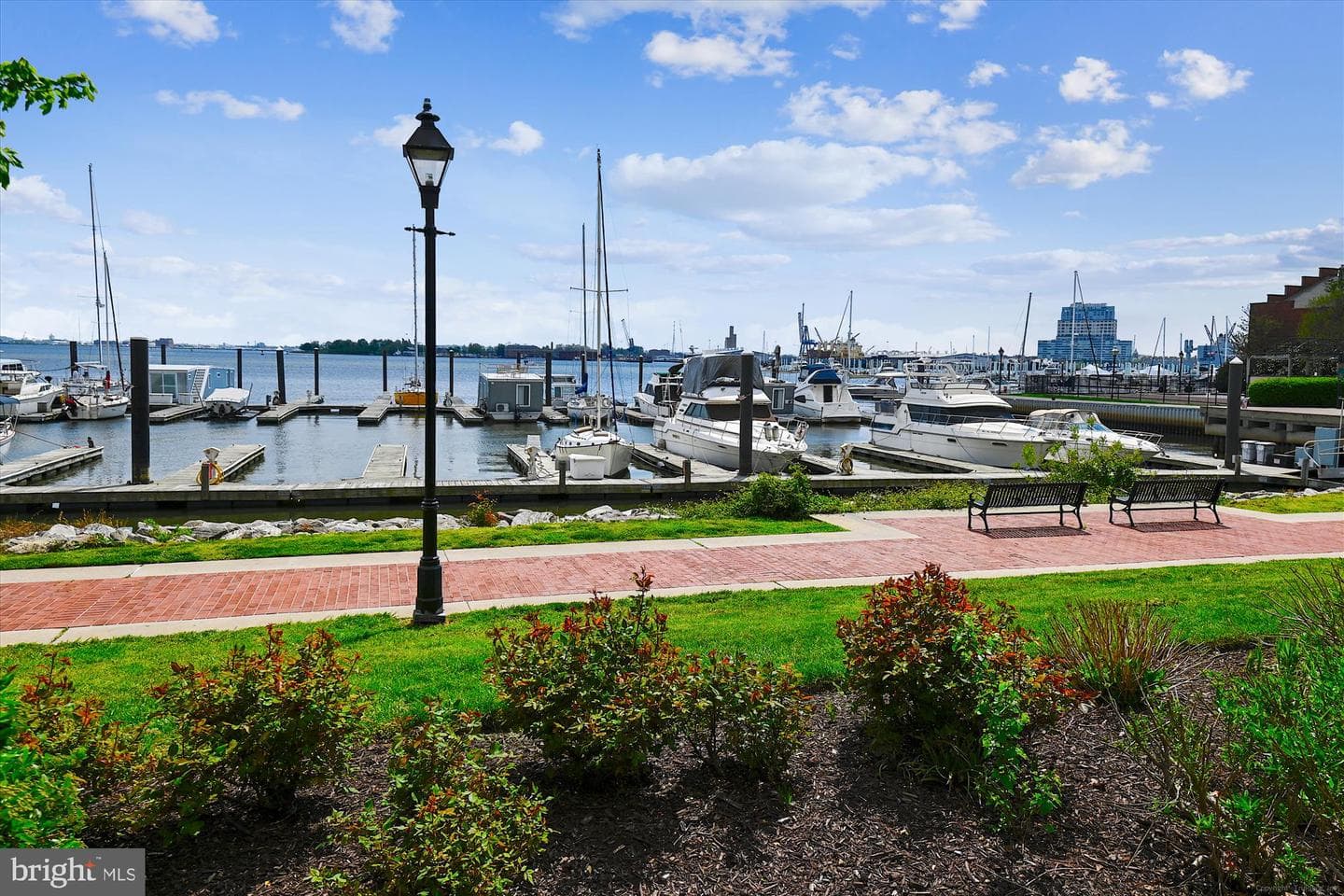 2901 Boston Street #206 photo 49