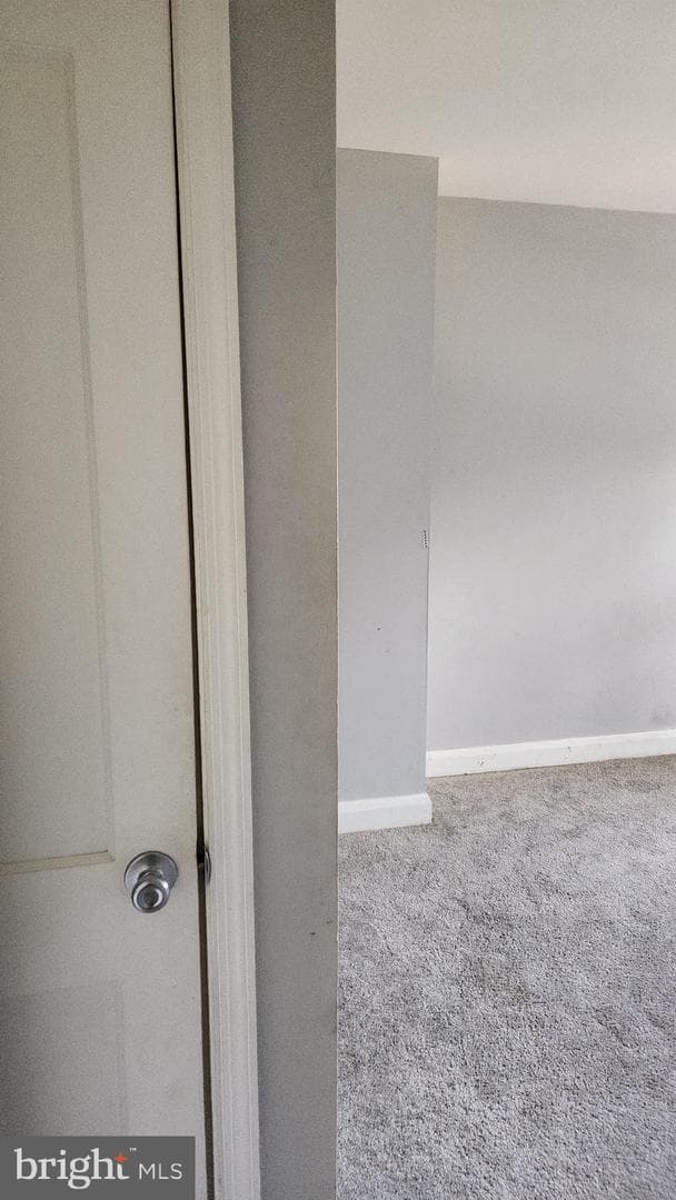 1024 Wicklow Road photo 18